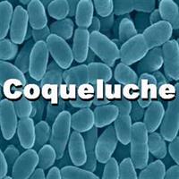 Coqueluche e acidentes de transporte