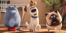 Pets 2 e Aladdin estão na programação do CINEMULTI, em Florianópolis