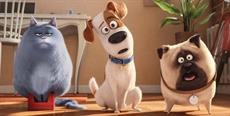 Animações Pets 2 e Toy Story 4 seguem em cartaz no CINEMULTI, em Florianópolis