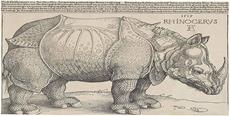 Fundação Cultural BADESC e Museu da Escola Catarinense promovem aula aberta online sobre Albrecht Dürer