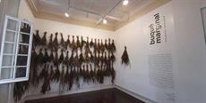 Duas exposições gratuitas podem ser visitadas na Fundação Cultural BADESC