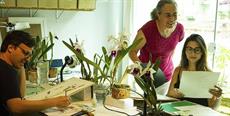 Orquídea símbolo de Santa Catarina é tema de exposição gratuita em Florianópolis