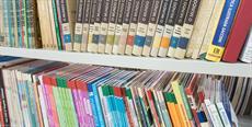 Biblioteca Pública de SC promove programação especial na Semana do Livro Infantil