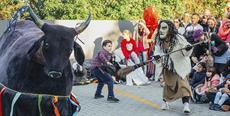 Tradicional Boi de Mamão de Florianópolis faz apresentação gratuita no Sul da Ilha de SC