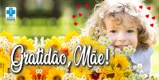 Gratidão, Mãe!