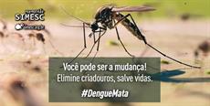 Dengue: Faça sua parte e defenda sua família!