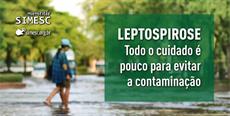Leptospirose: Toda o cuidado é pouco para evitar a contaminação